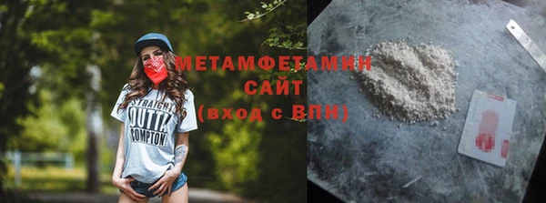 прущие грибы Балабаново