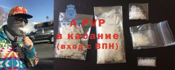 прущие грибы Балабаново