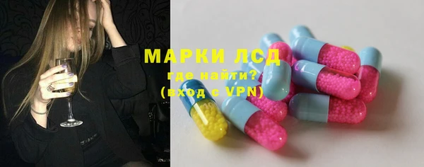 прущие грибы Балабаново