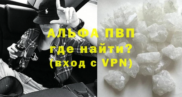 прущие грибы Балабаново