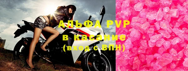 прущие грибы Балабаново