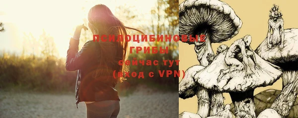 прущие грибы Балабаново