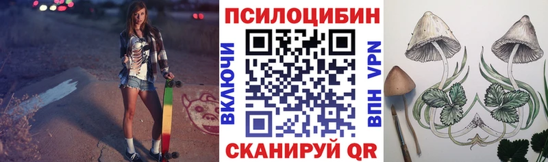 Галлюциногенные грибы Cubensis  купить  цена  Белёв 